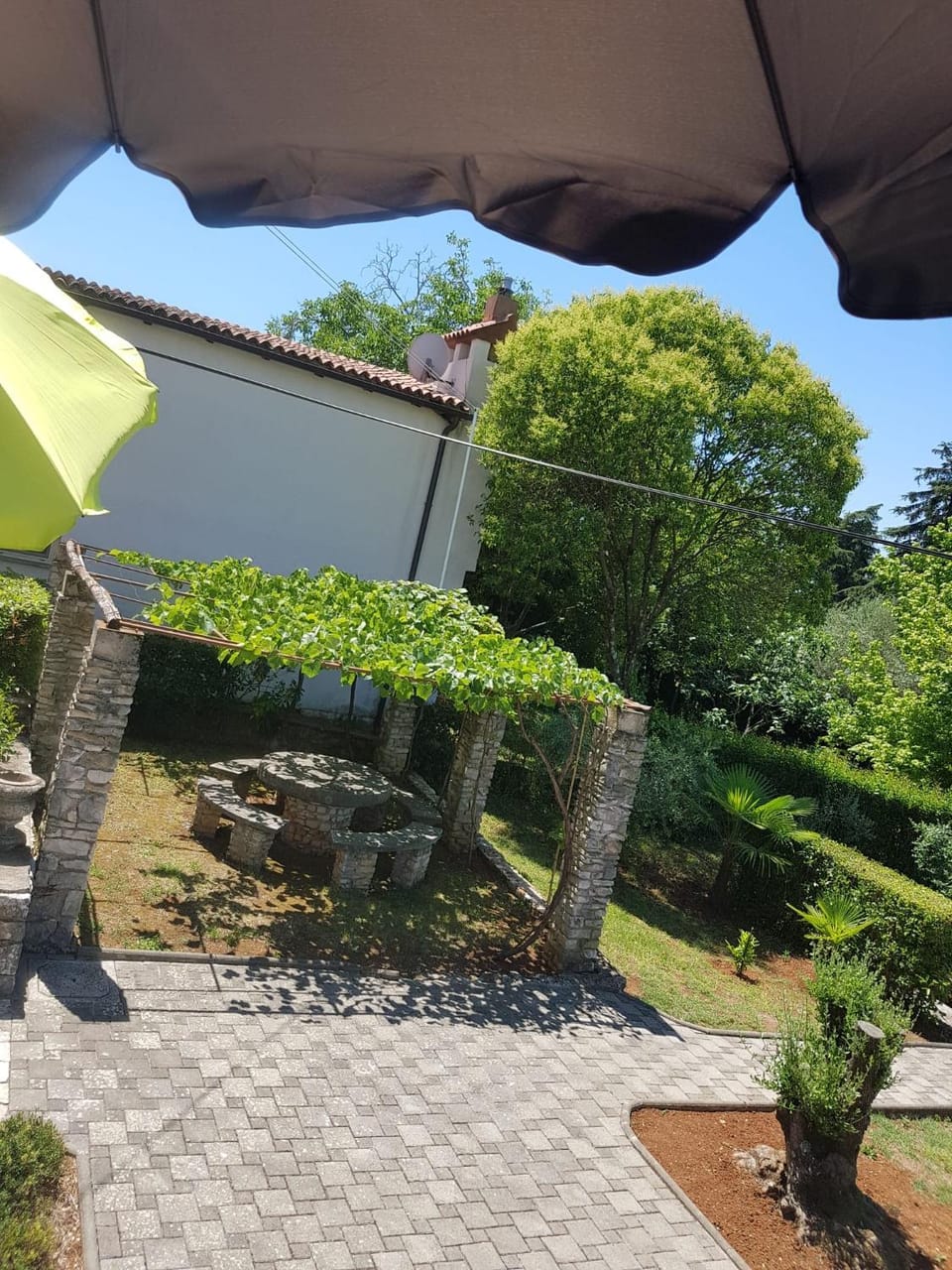 Garden view