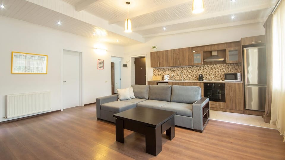 Kitchen or kitchenette, Living room, Seating area, Dining area