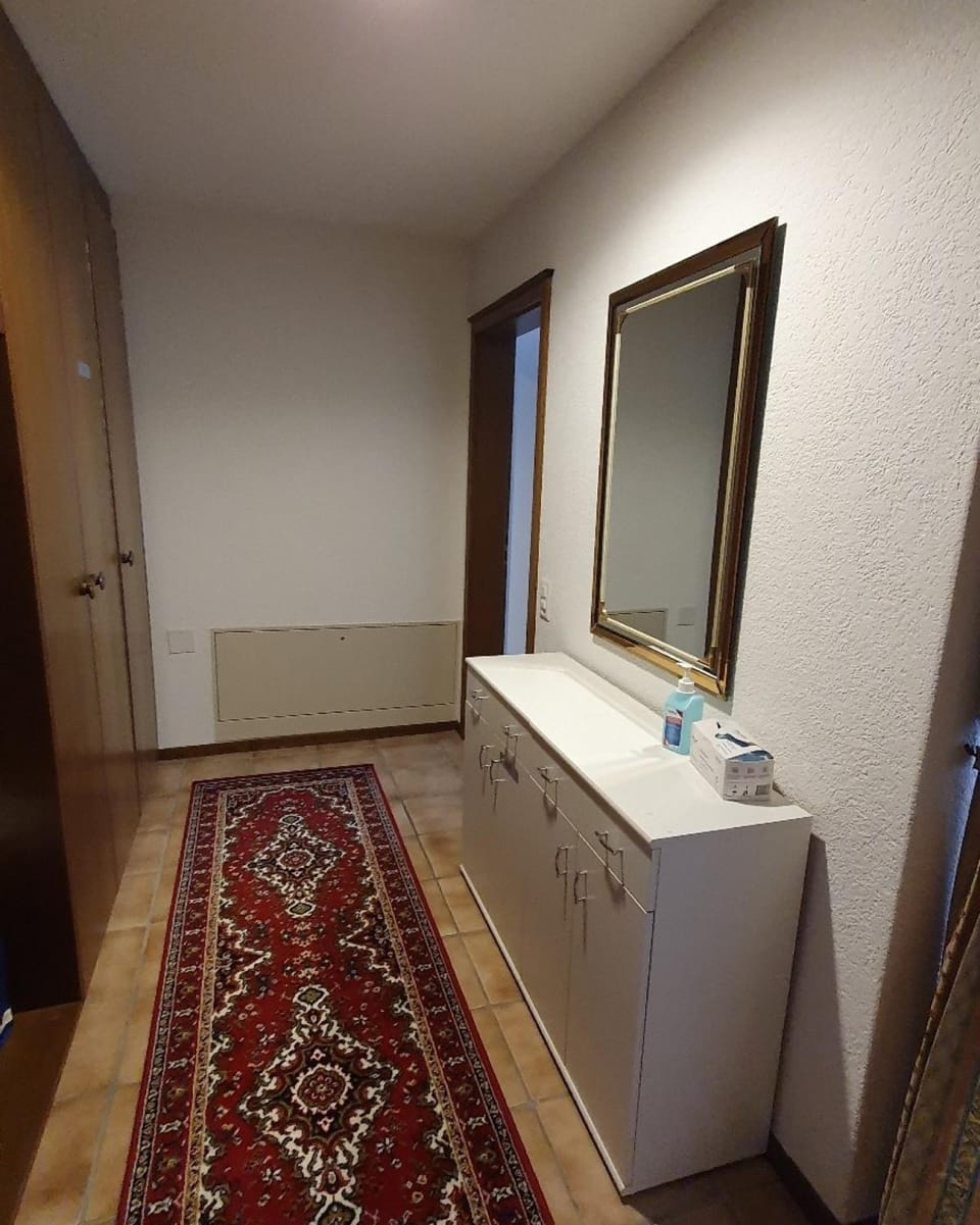 Abschalten vom Alltag in Brissago Apartment in Canton of Ticino