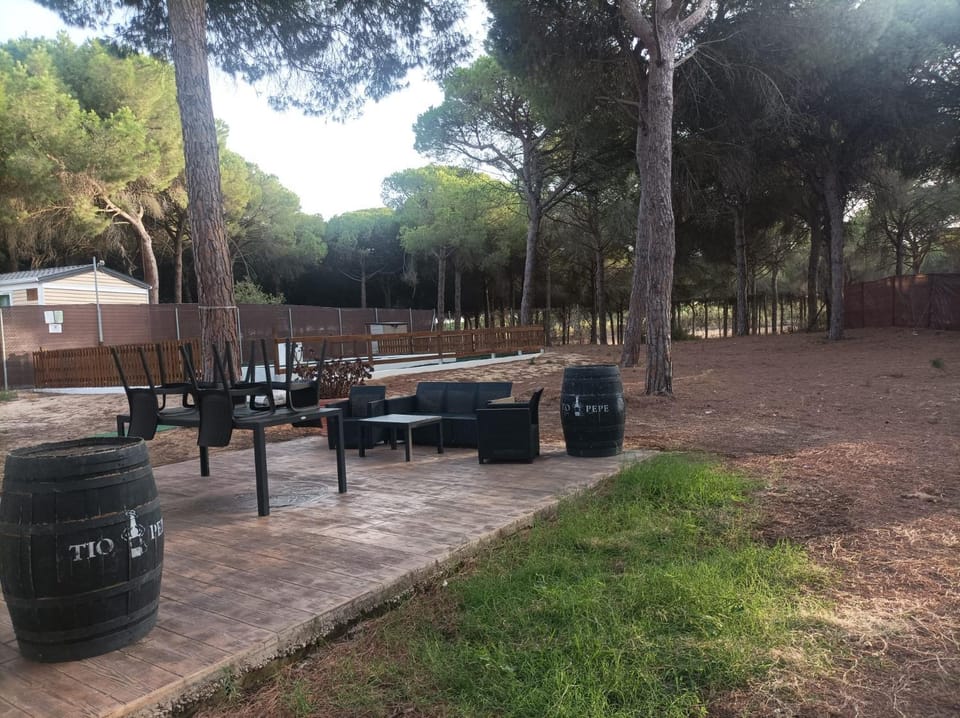 Patio, Natural landscape, Garden