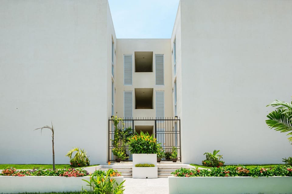 Property building, Day, Garden