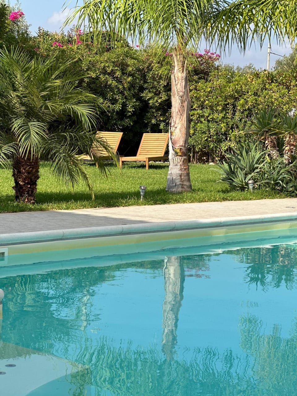 Garden, Garden view, sunbed