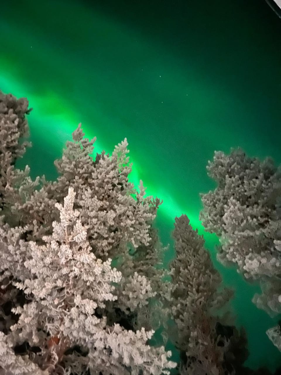 Kalliorinne - Lakefront Villa Villa in Lapland