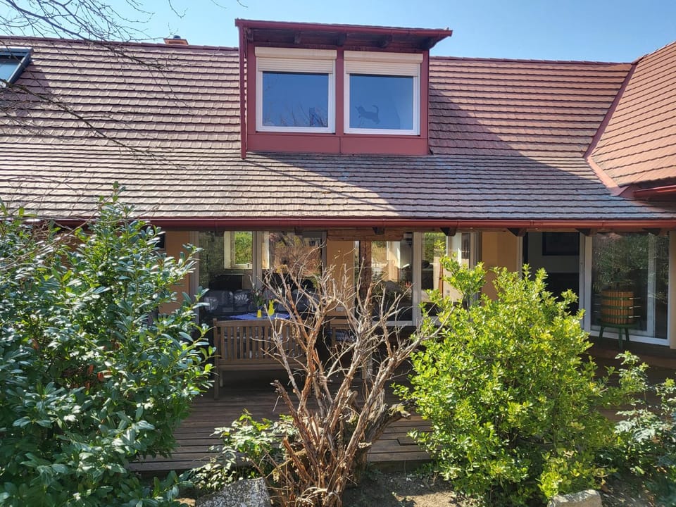 Property building, Day