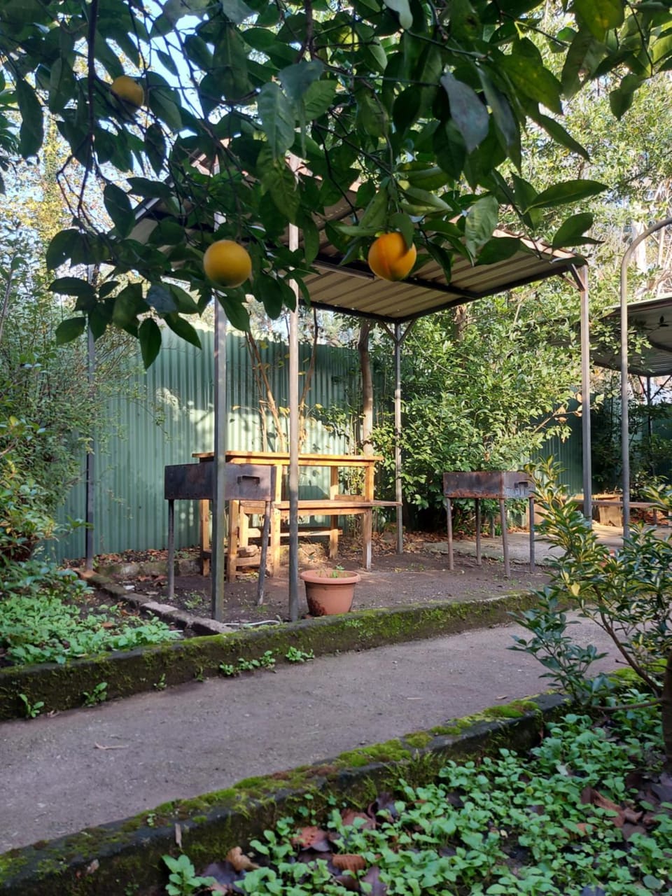 California Гонио Bed and Breakfast in Batumi