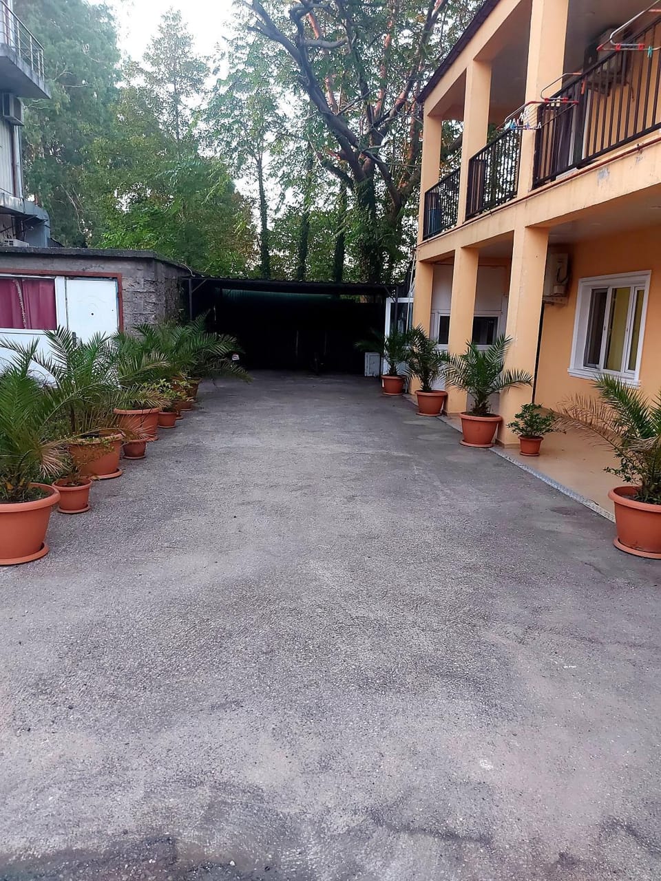 California Гонио Bed and Breakfast in Batumi