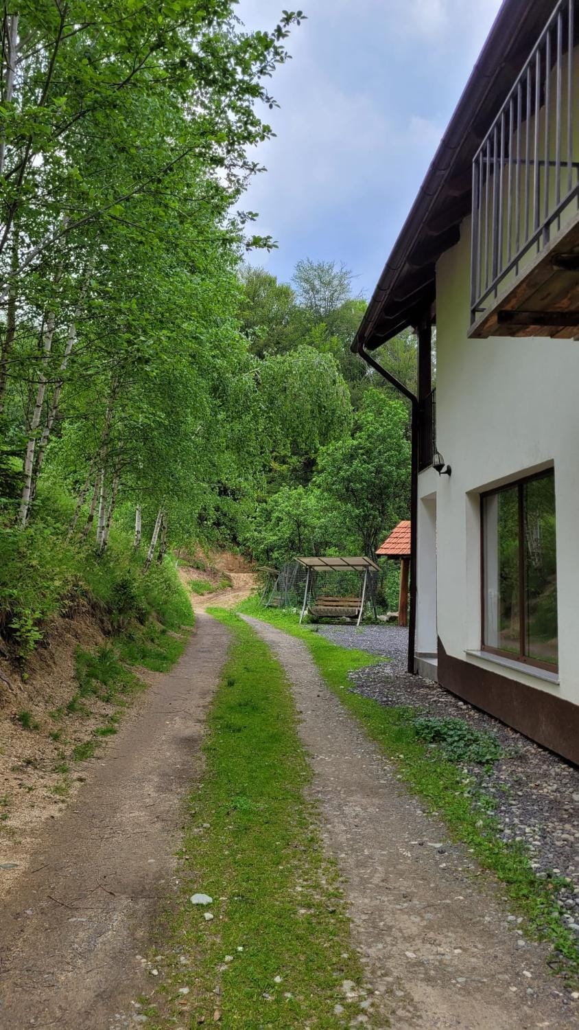 Conacul din Pădure Villa in Brașov County