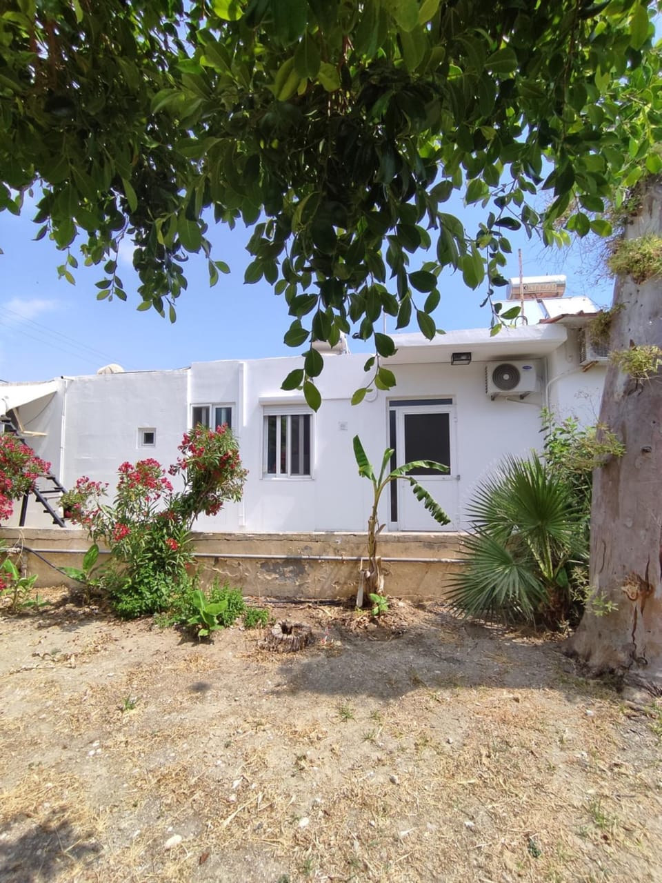 Property building, Garden