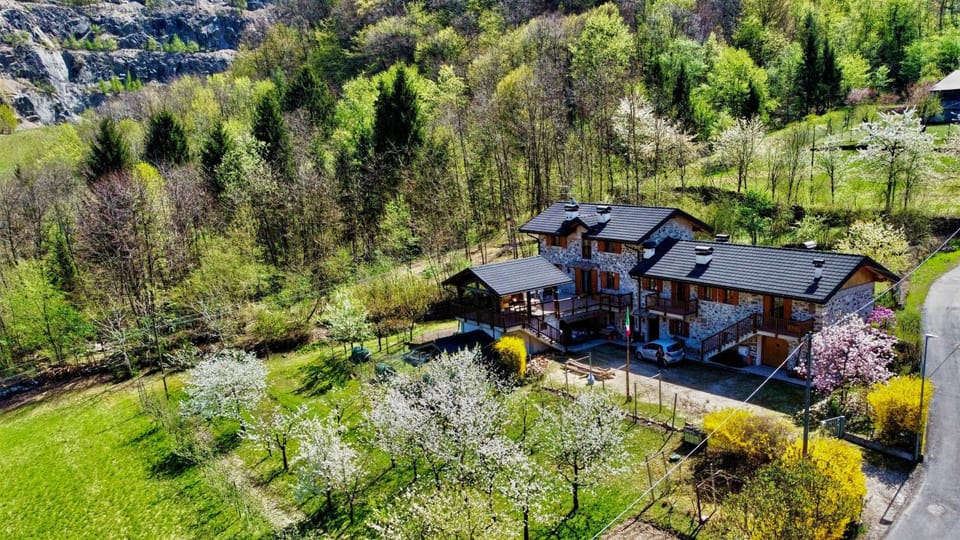 Property building, Spring, Neighbourhood, Bird's eye view