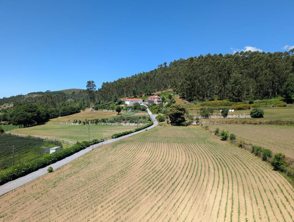 View (from property/room)