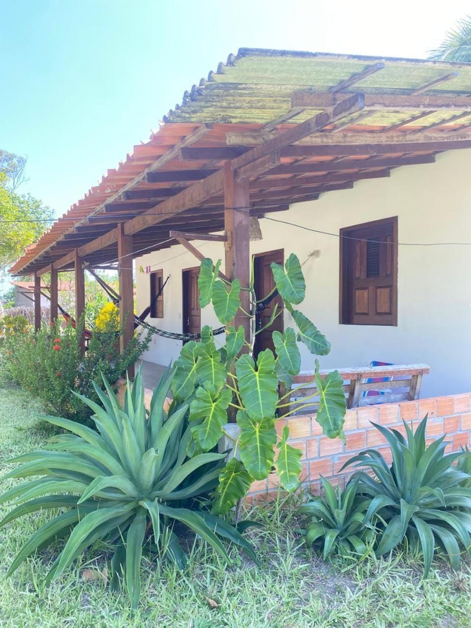 Garden, Garden view, Garden view