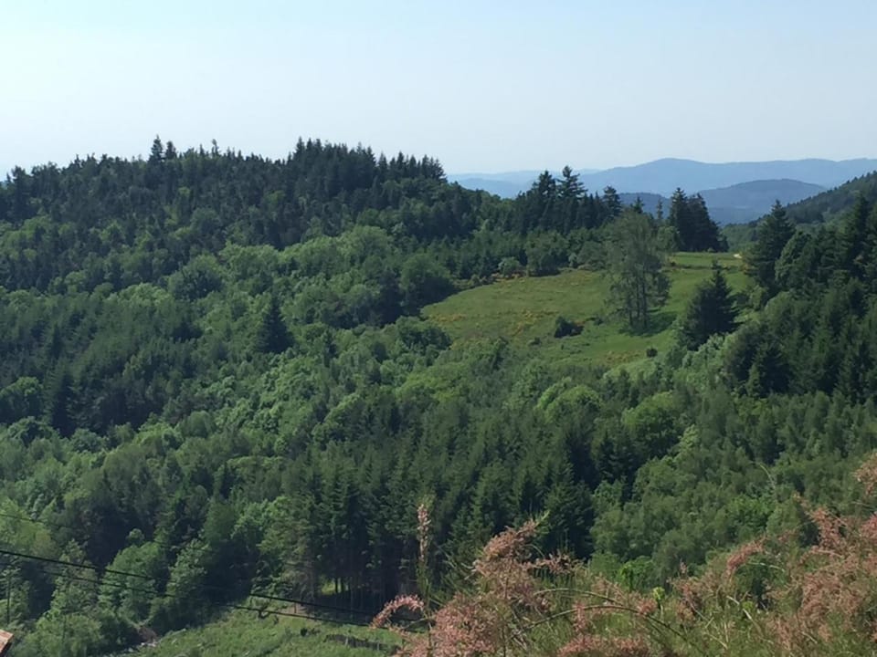 Charmant gîte au cœur du Pilat avec wifi et cheminée - FR-1-496-255 House in Auvergne-Rhône-Alpes