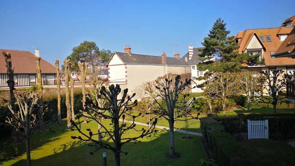 Garden, Garden view