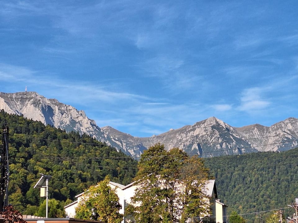 Casa Antonia Bed and Breakfast in Prahova, Romania