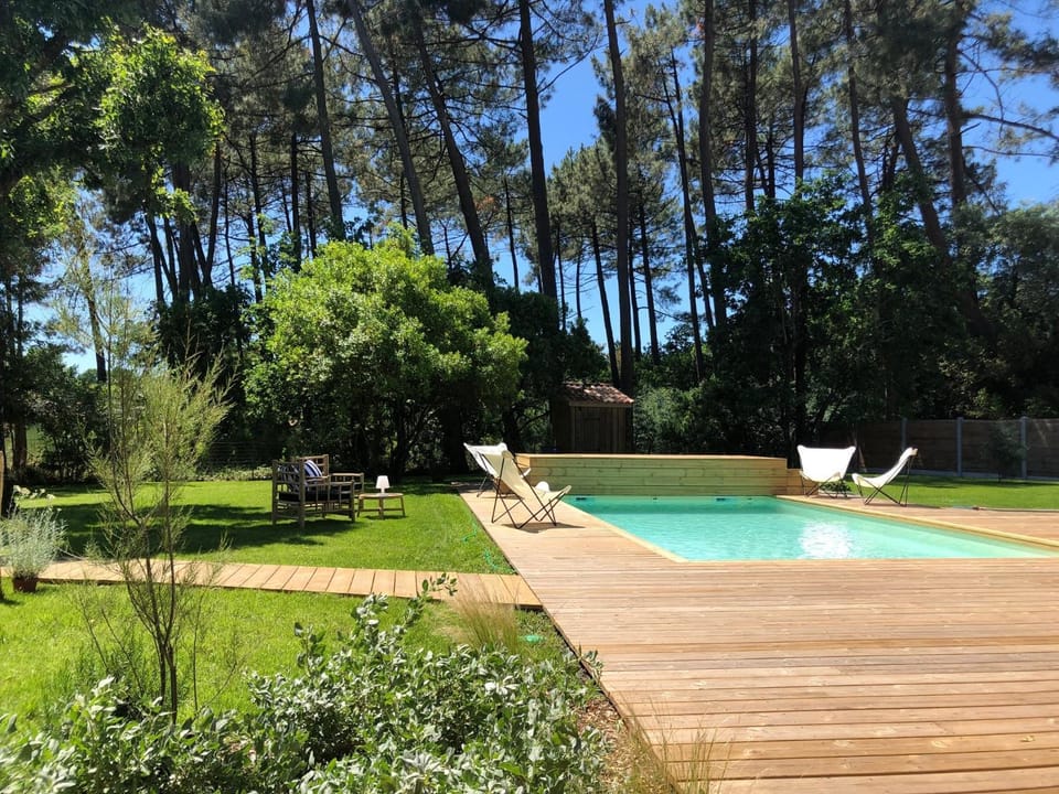Natural landscape, Garden, Garden view, Swimming pool