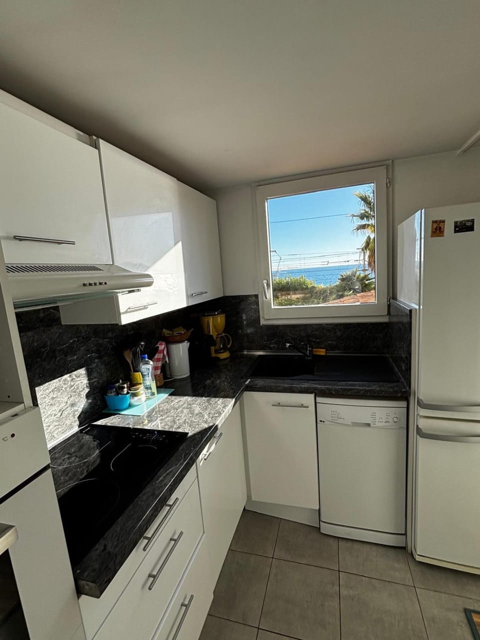 Sea view, dishwasher, oven, stove