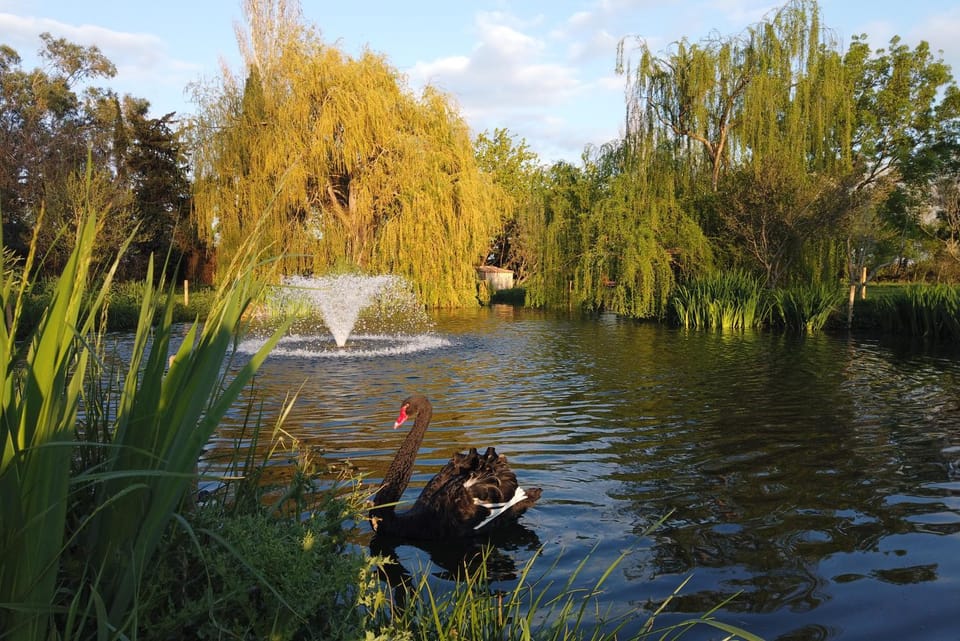 Garden, Lake view
