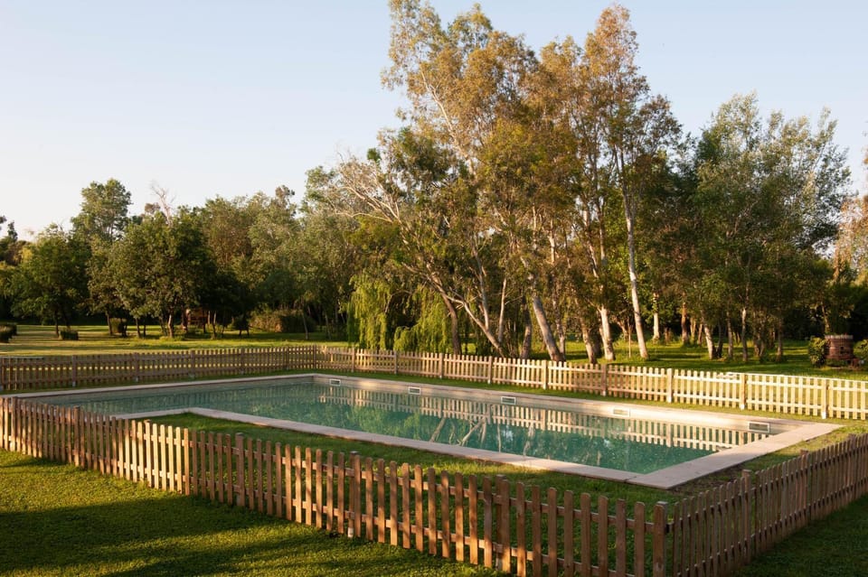 Garden, Garden view, Swimming pool