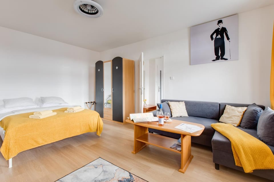 Sunshine Apartment near the City center Apartment in Prague