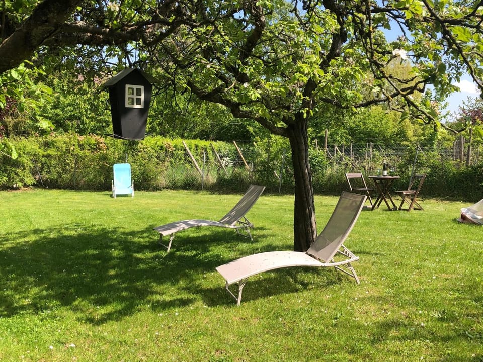 Patio, Garden