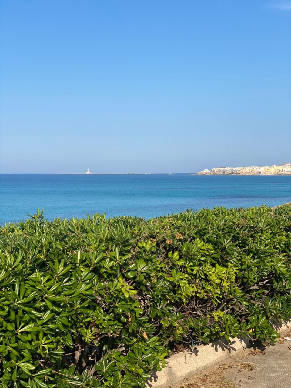 Natural landscape