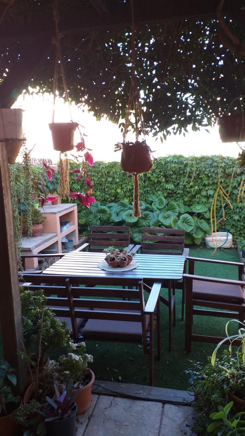 Garden view