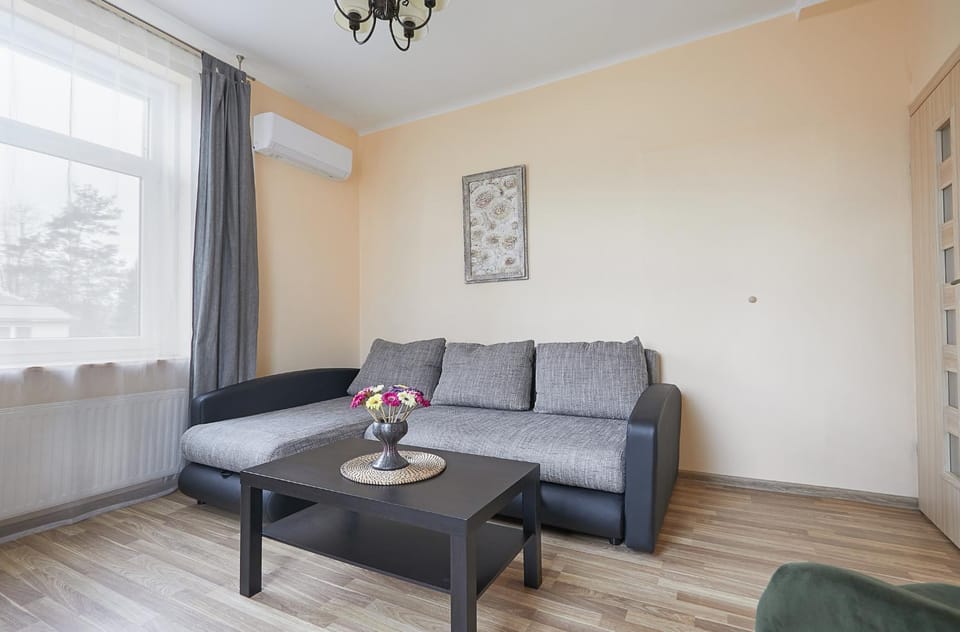 Living room, Seating area, air conditioner