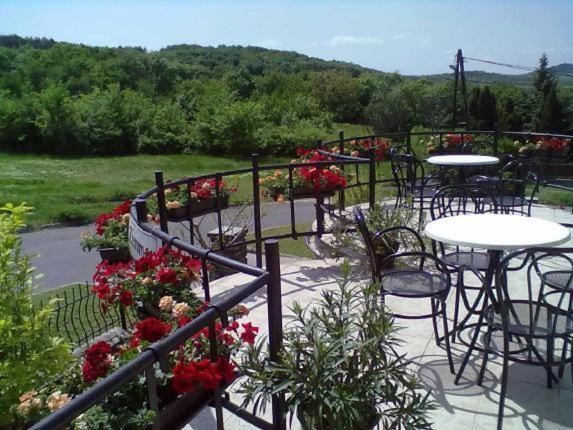 Balcony/Terrace, Balcony/Terrace