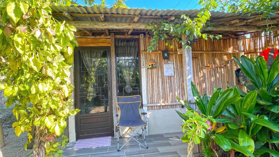 Patio, Spring, Garden, Garden view