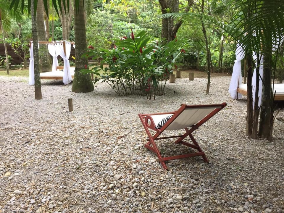 Garden, View (from property/room)