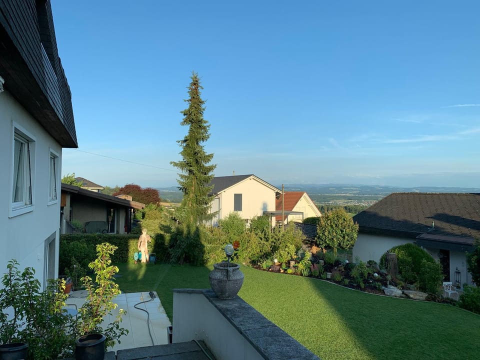 Natural landscape, Garden, Garden, Garden view