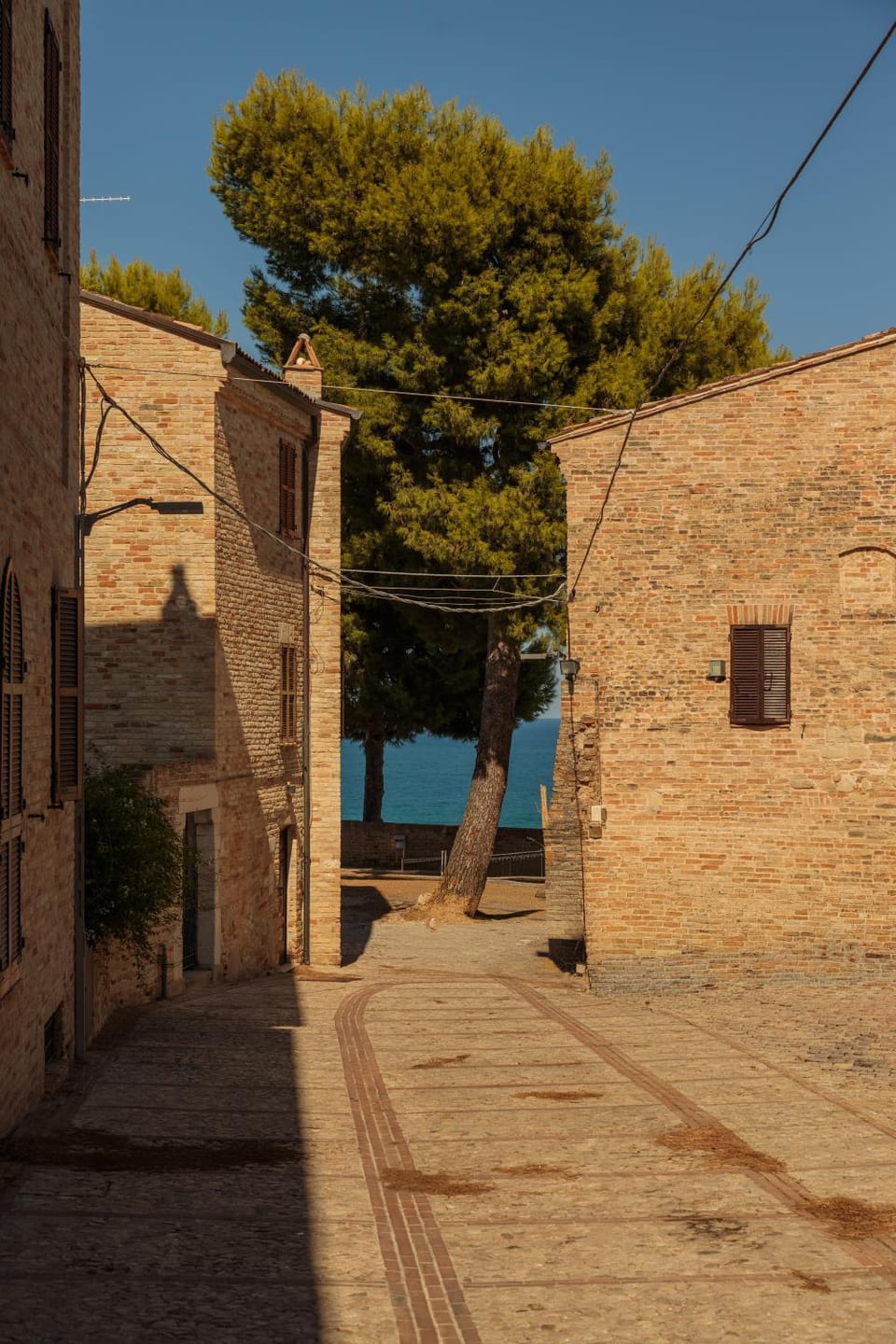 Natural landscape, Area and facilities