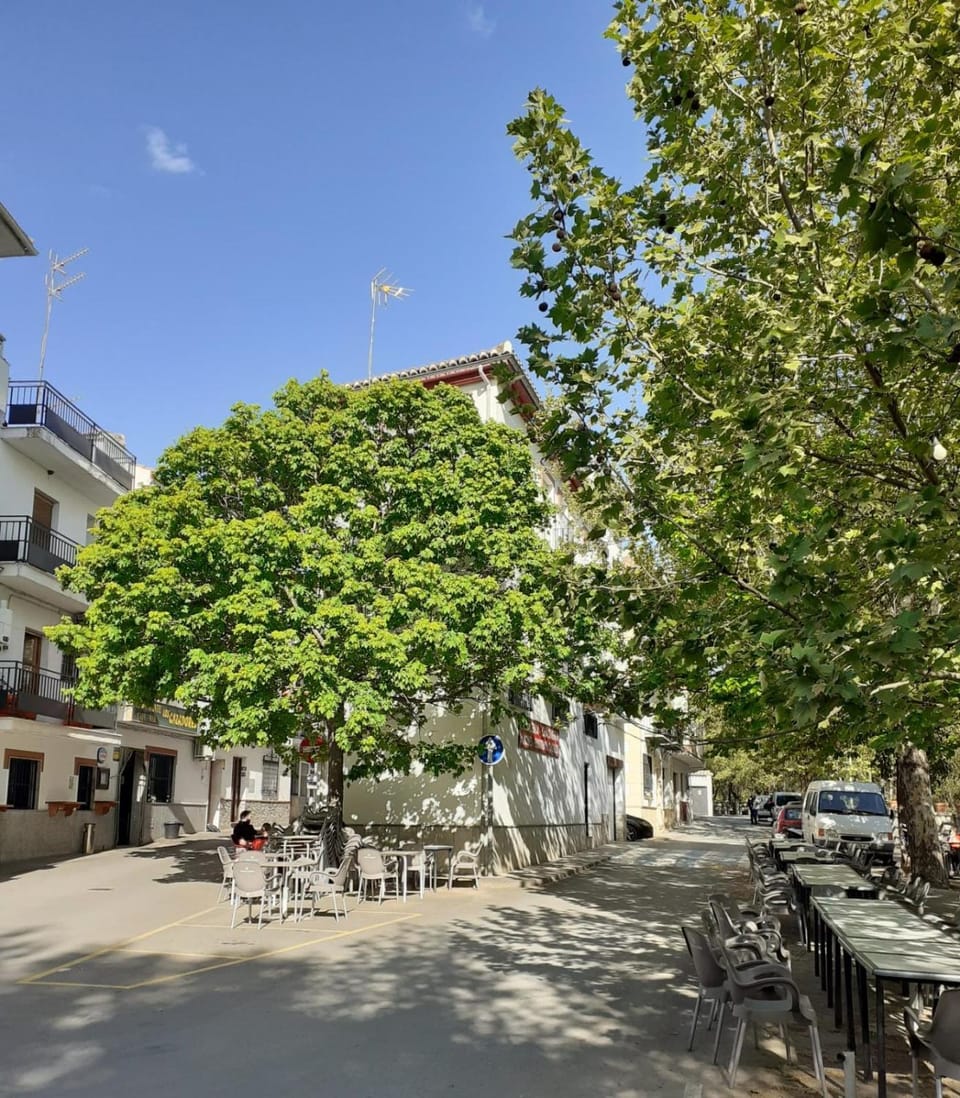 Apartamentos Pinos Genil Apartment in Andalusia