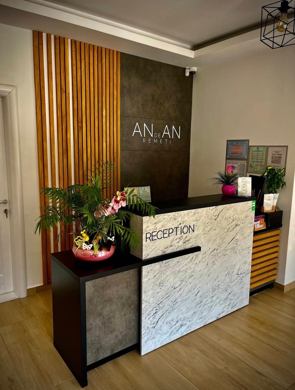 Pensiunea AN de AN Remeti Bed and Breakfast in Cluj County