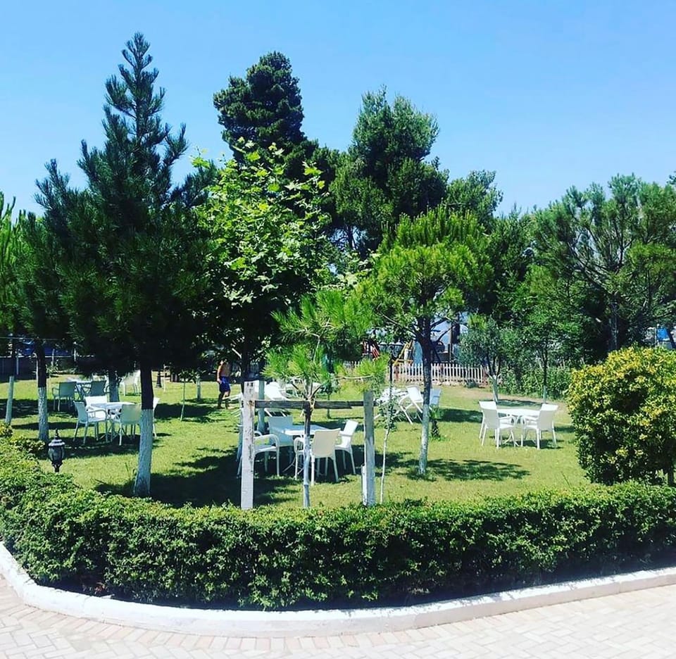 Natural landscape, Garden, Garden view