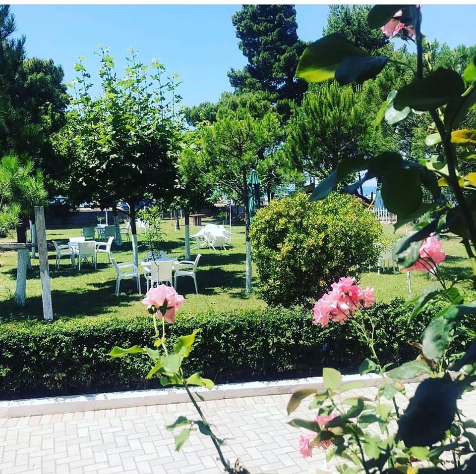 Garden, Garden view
