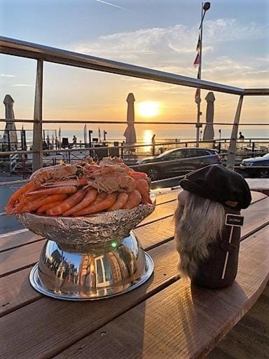 Day, Natural landscape, Food and drinks, Food, Sea view, Breakfast, Lunch, Dinner, Sunset