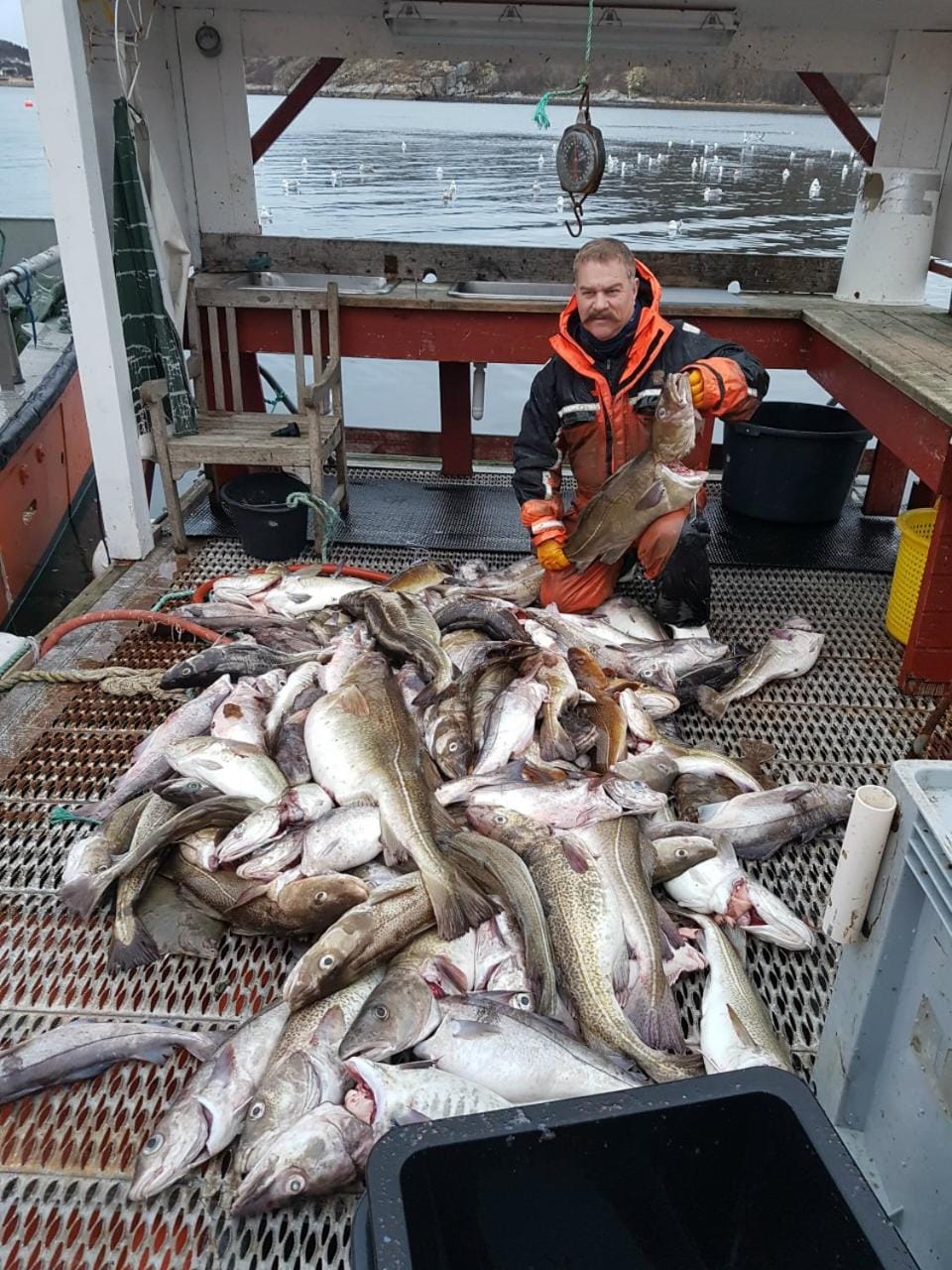 Fishing