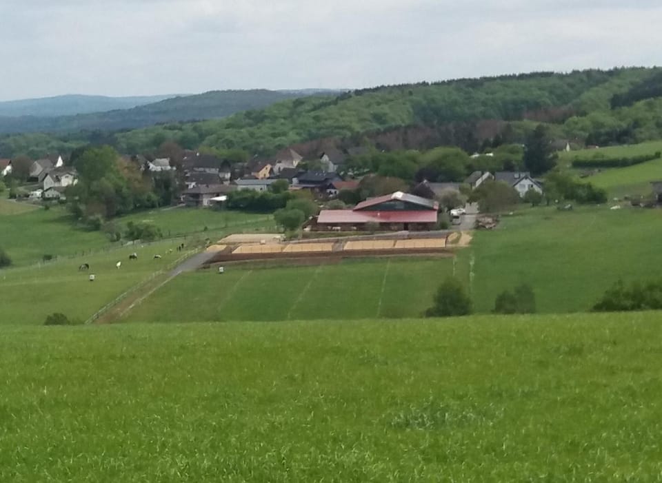 Natural landscape, Horse-riding