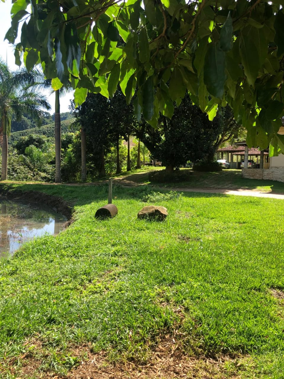 Natural landscape, Garden