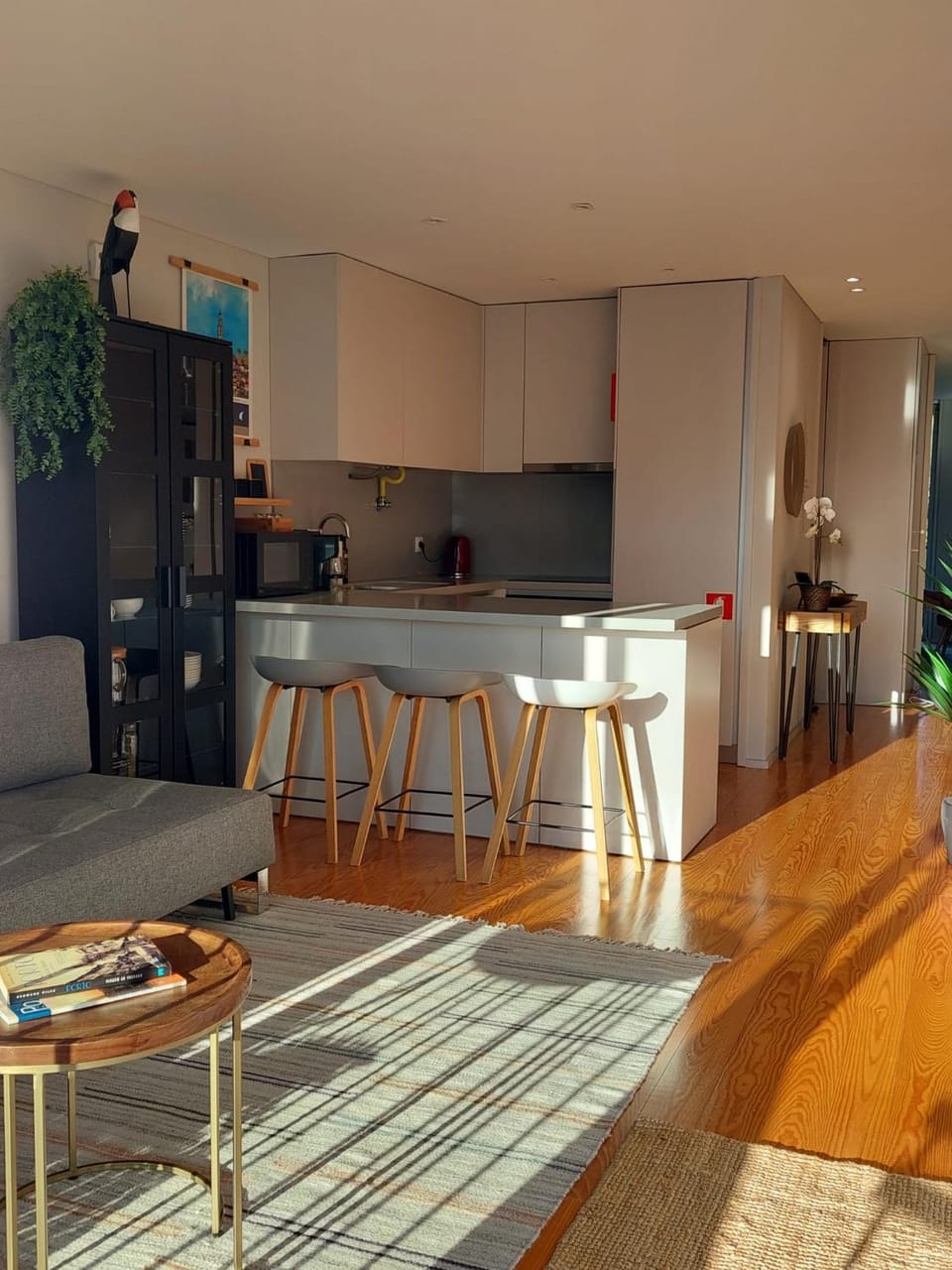 Kitchen or kitchenette, Living room