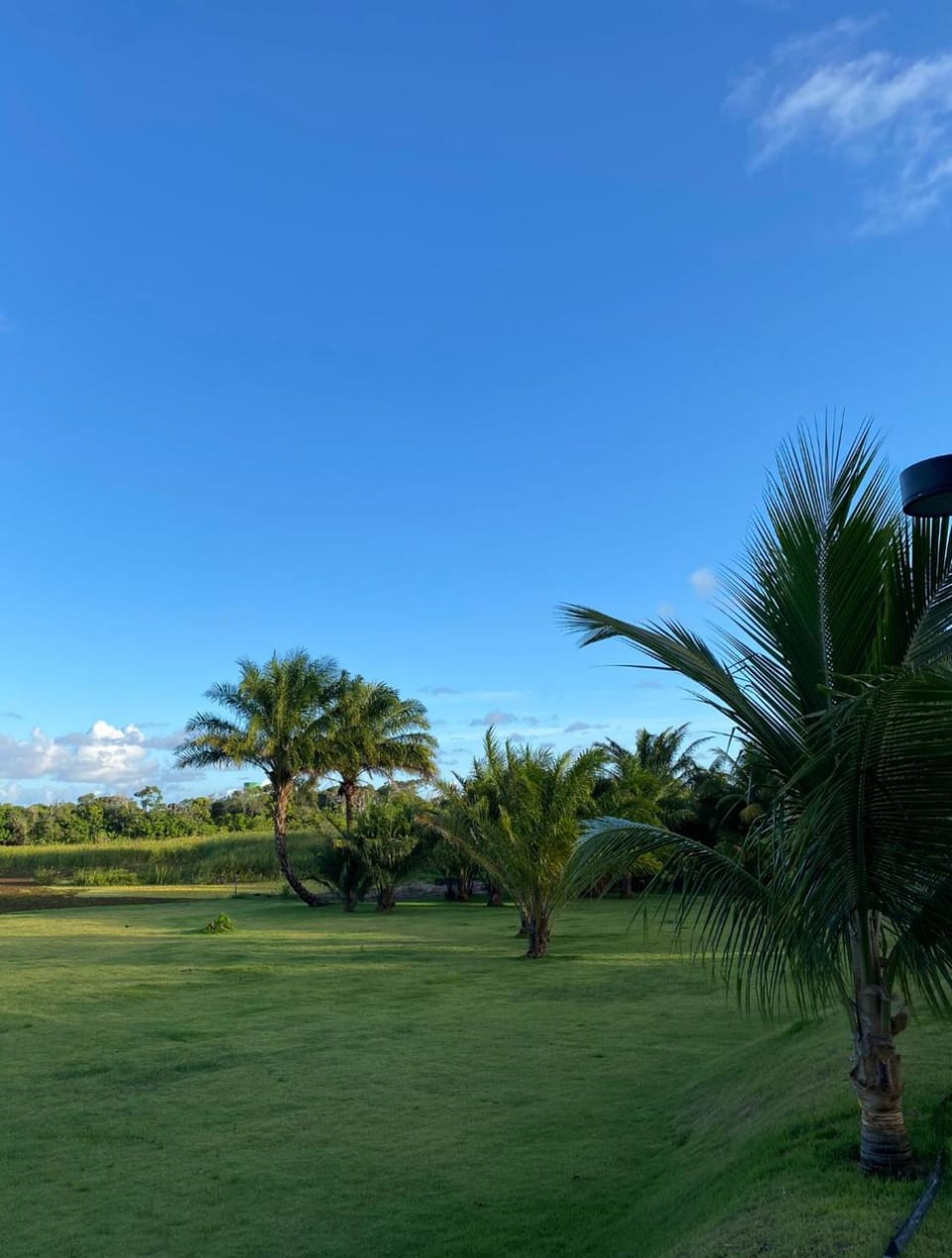 Condomínio Paraiso dos Coqueiros Apartment in State of Bahia