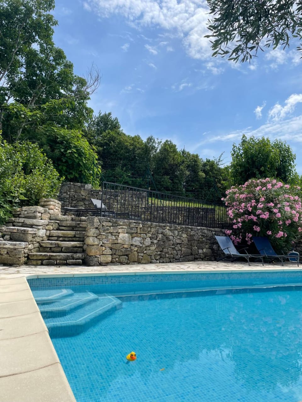 Spring, Garden, Pool view, Swimming pool