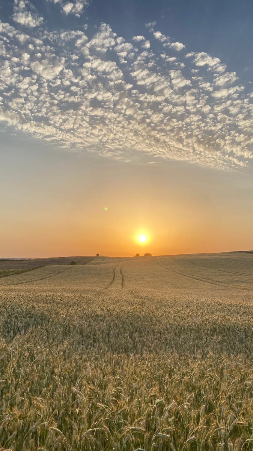 Natural landscape, Sunset