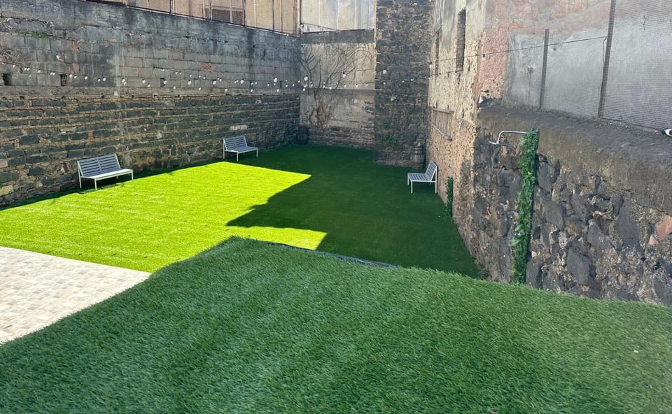 Garden view