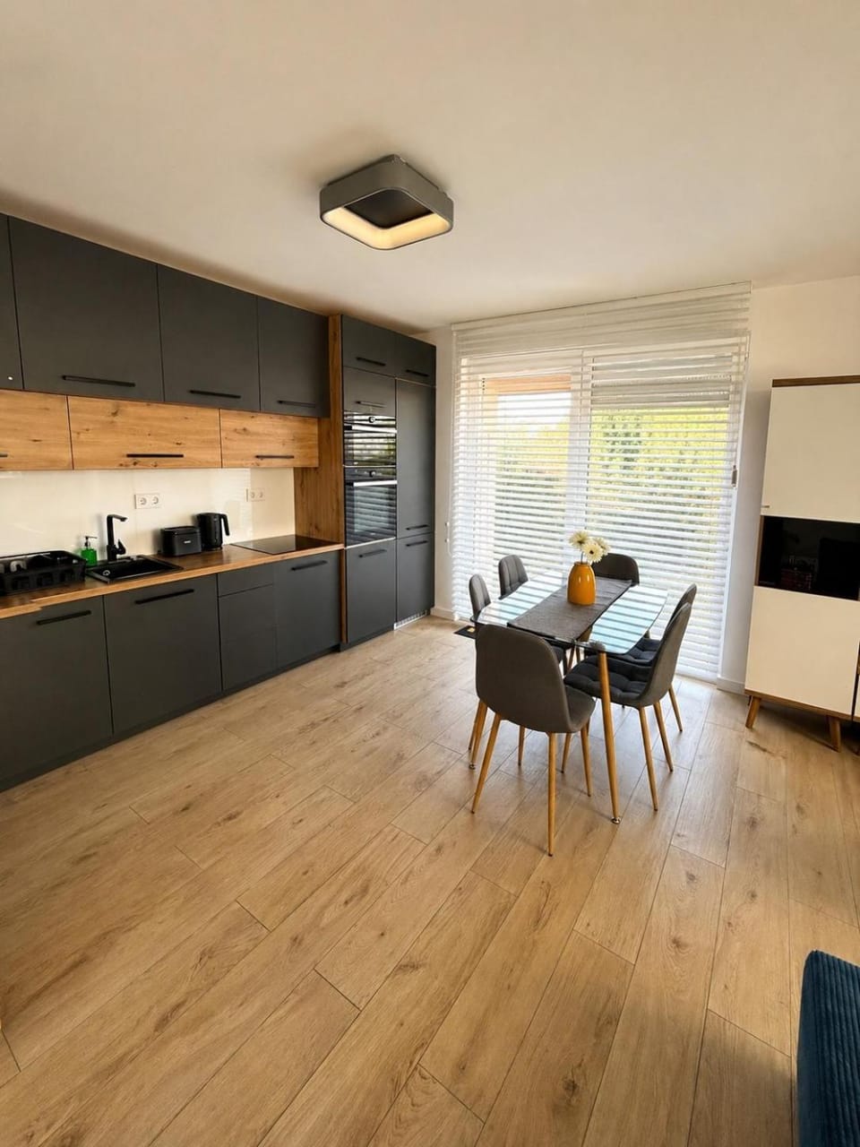 Sonia Apartman Apartment in Zadar County