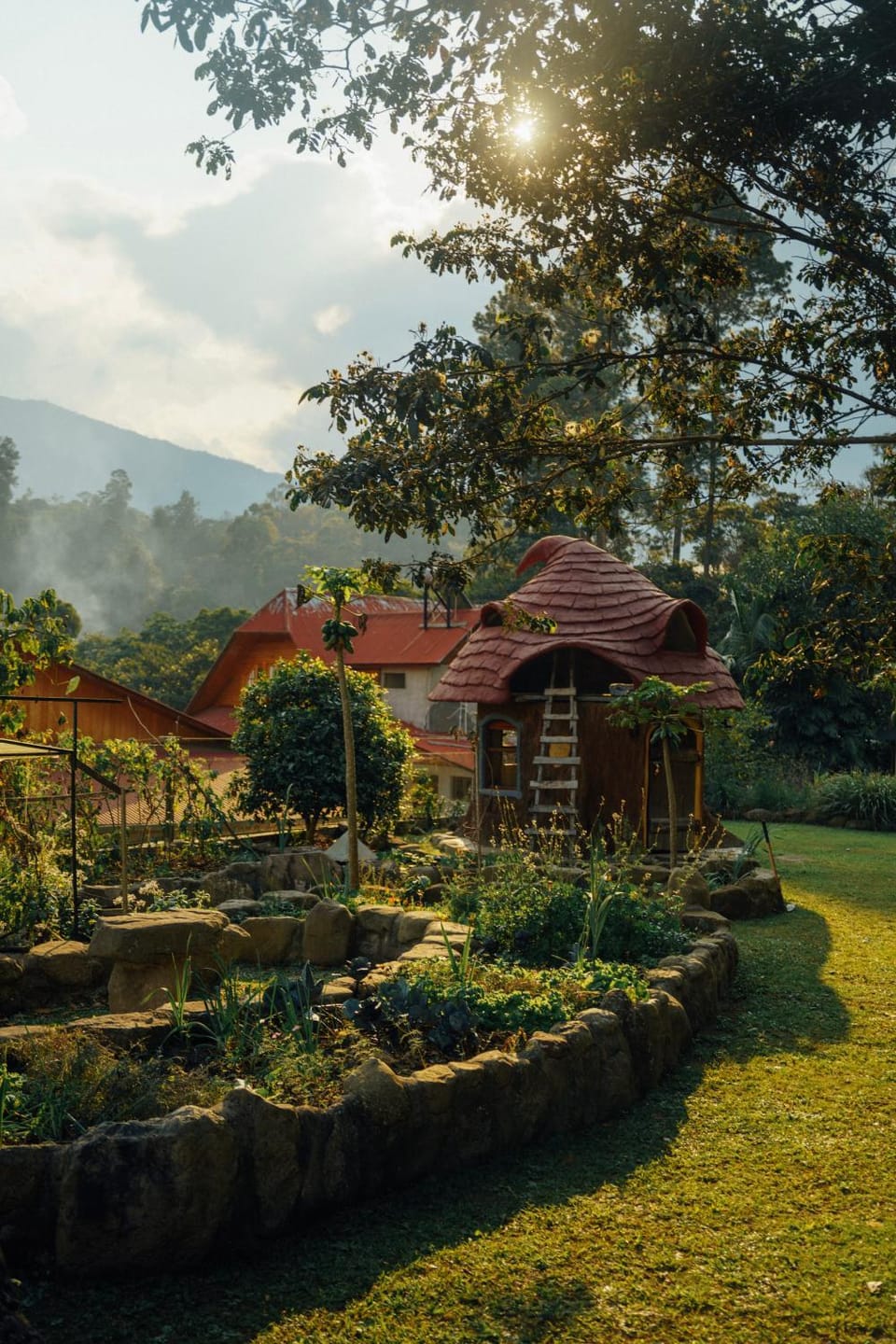 Garden view