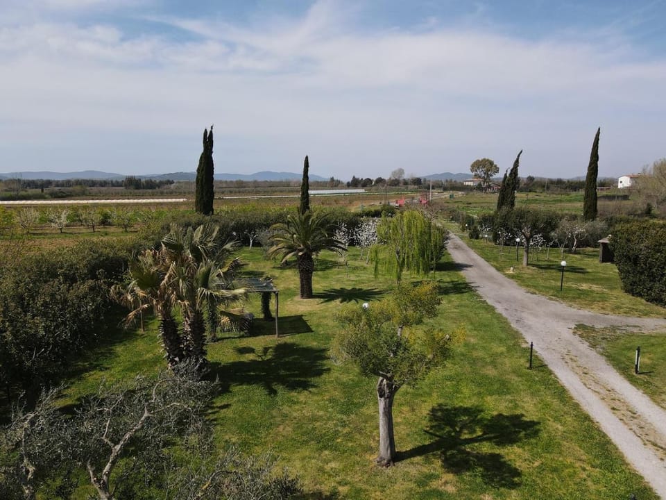 Garden, Inner courtyard view