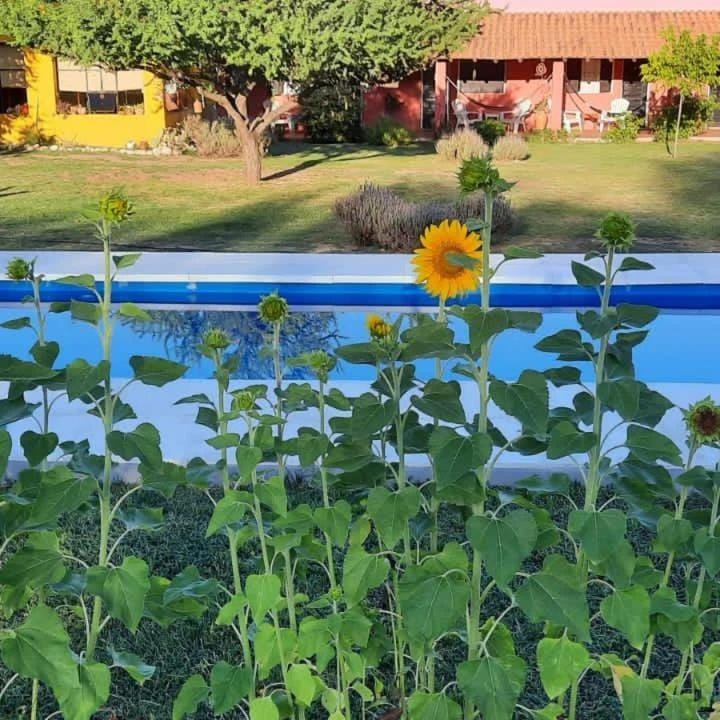 Garden view, Pool view