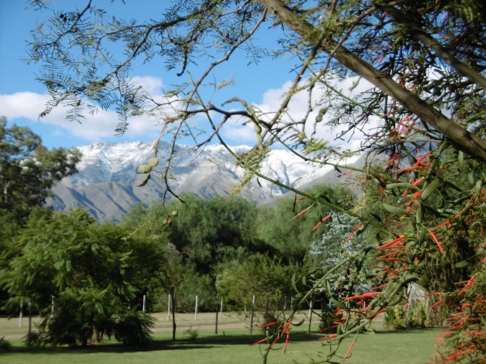 Day, View (from property/room), Mountain view